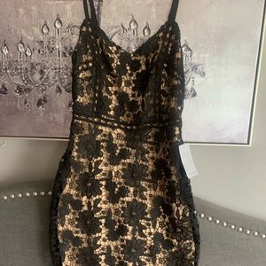 Lace bodycon back zipper dress beautiful NWT